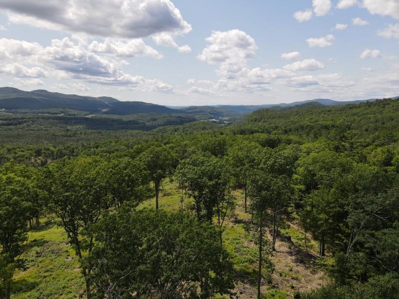 Barnet VT Land for sale $$315,000 | 127 Acres  | Price Per Acre $0  | Total Lots 2