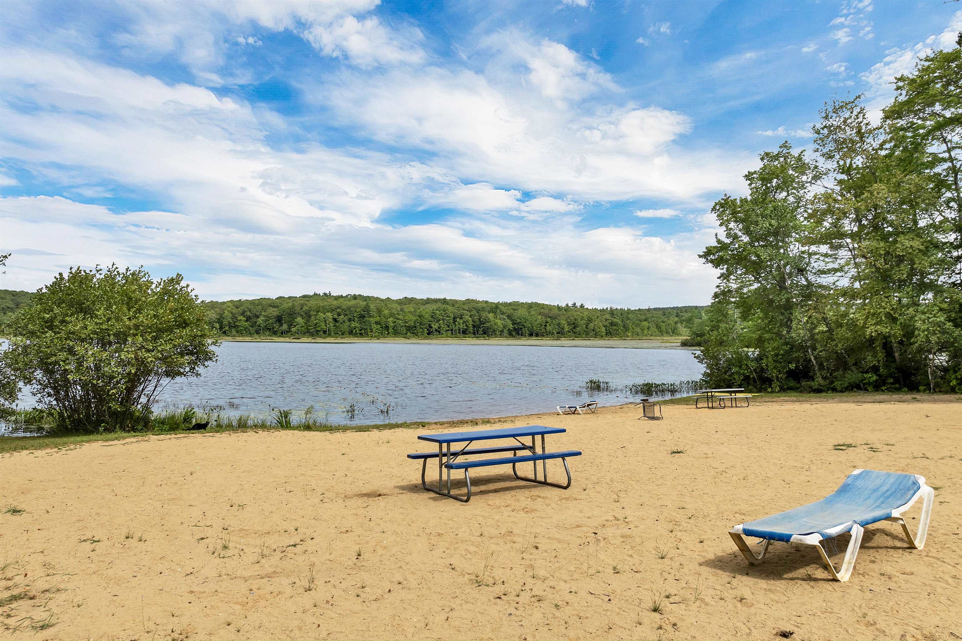 MLS #5059235 image #45