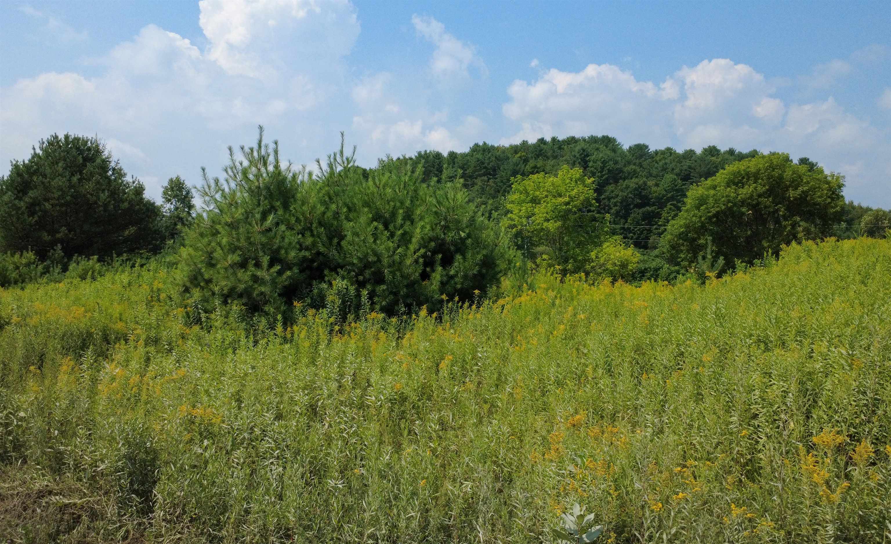 Homes for sale in St. Johnsbury, VT | 0 New Boston Rd, St. Johnsbury, VT 05819 | MLS# 5059302