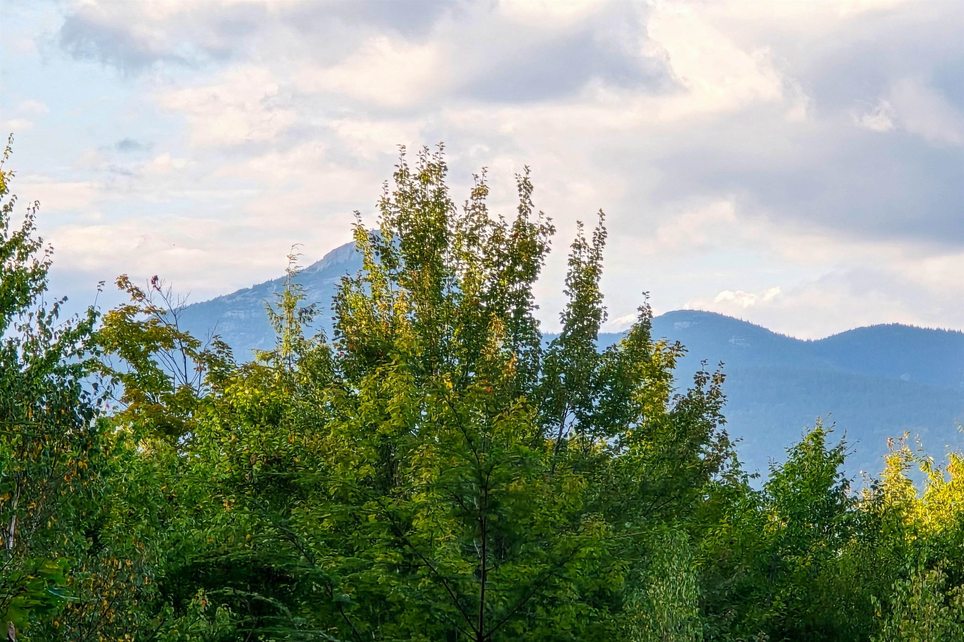 Village of Chocorua in Town of Tamworth NH Land for sale $$125,000 | 2 Acres  | Price Per Acre $0  | Total Lots 2