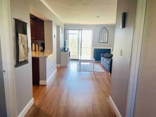 MLS #5059575 image #3