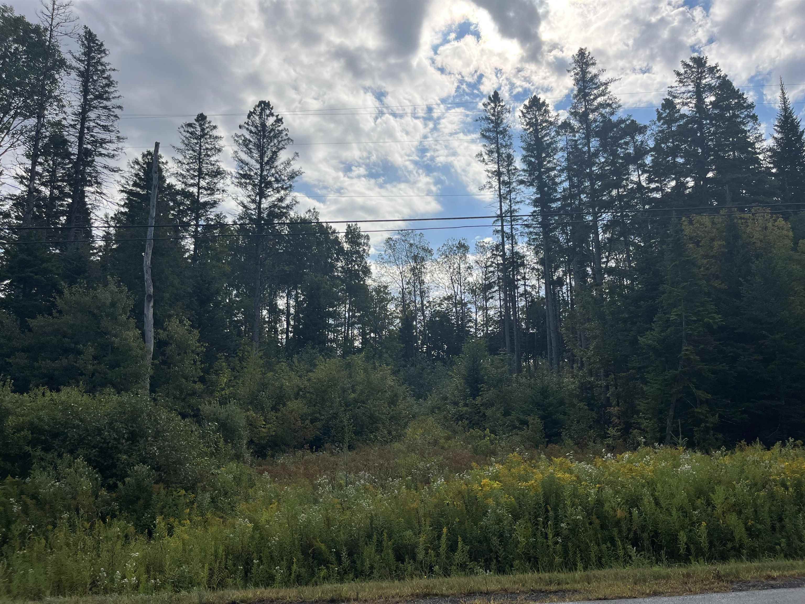 Homes for sale in Brownington, VT | 00 Willoughby Lake Rd, Brownington, VT 05860 | MLS# 5059768