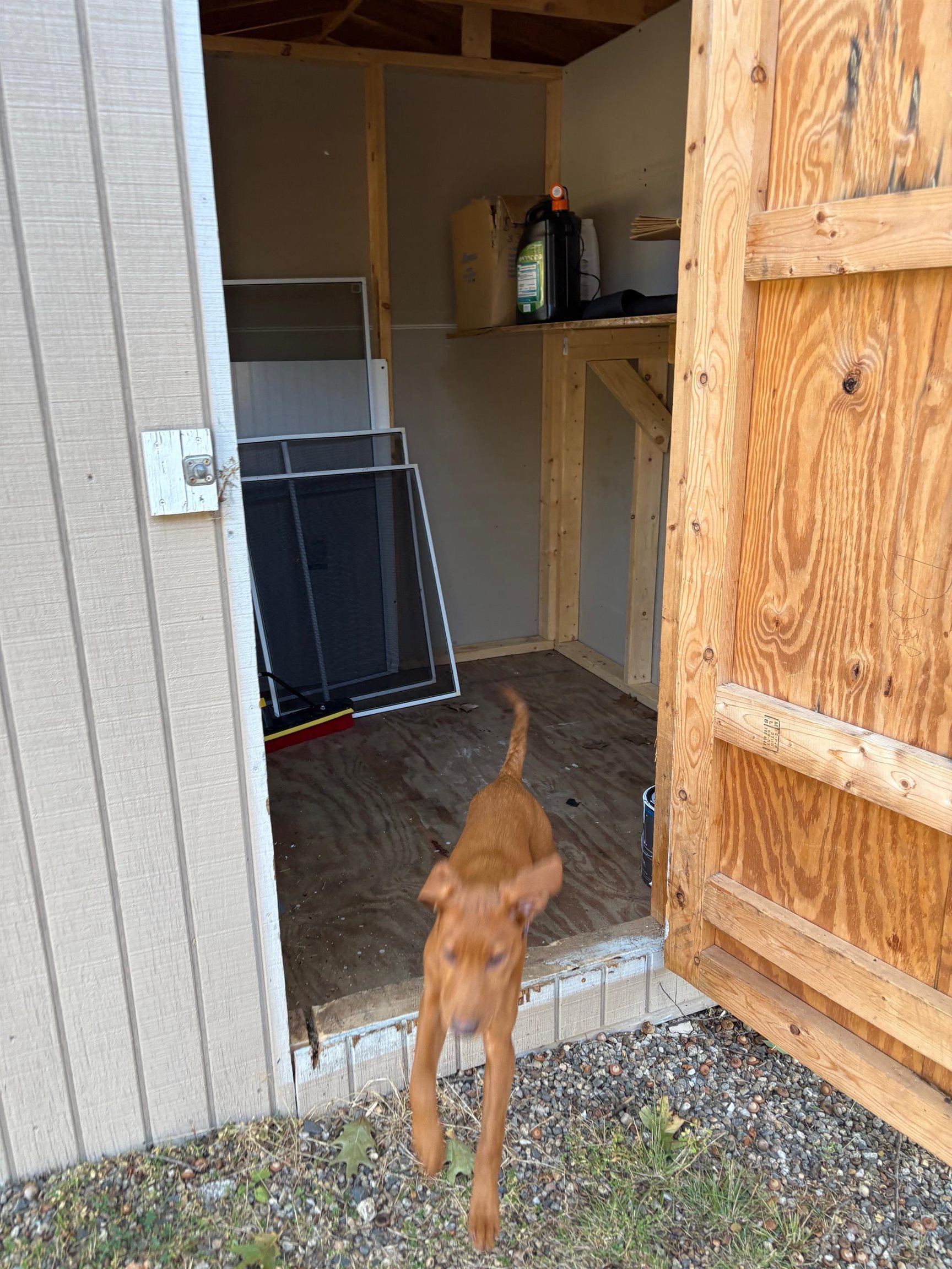 Homes for sale in Rochester, NH | 22 S Dewberry Ln, Rochester, NH 03867 | MLS# 5059789