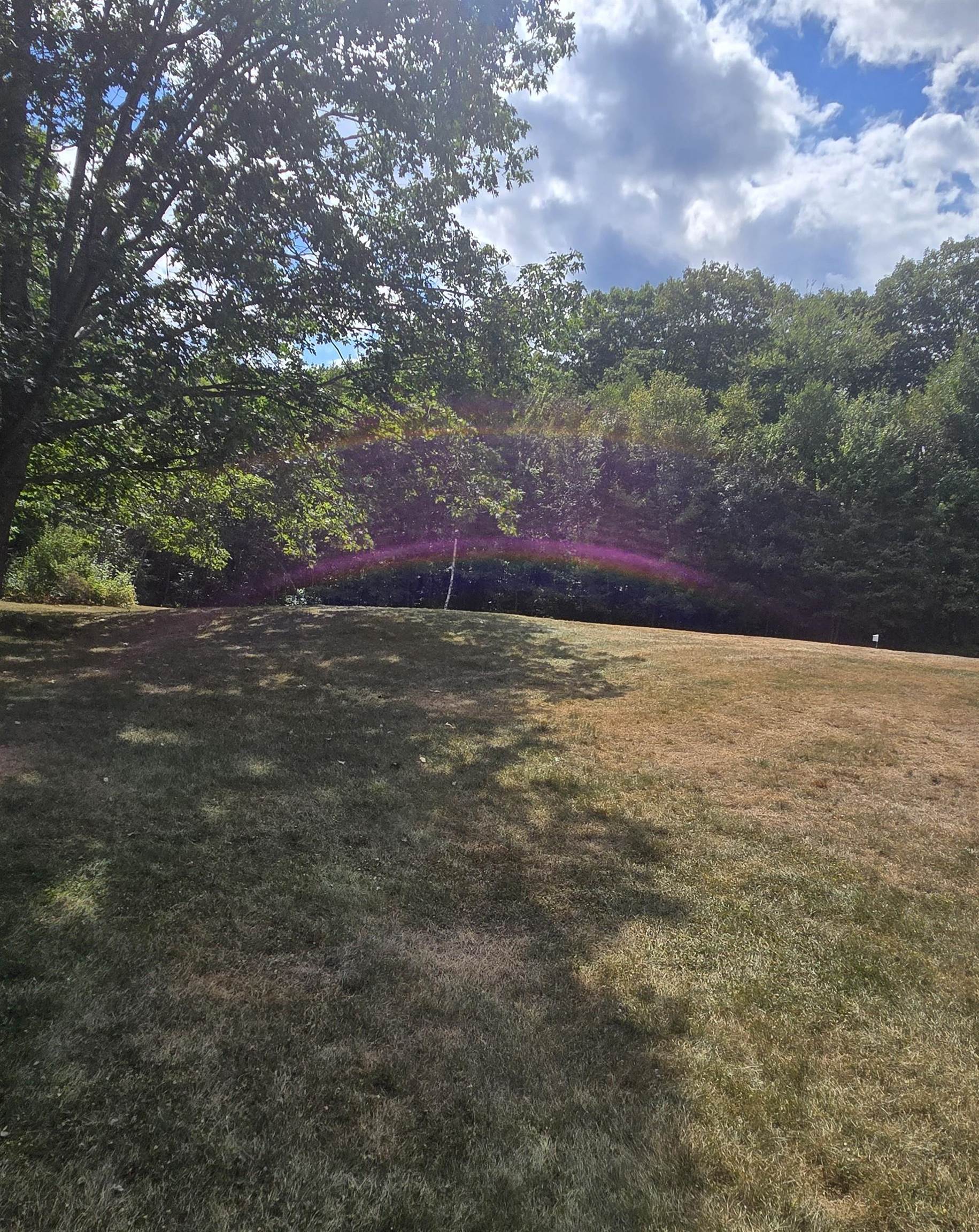 MLS #5059871 image #3