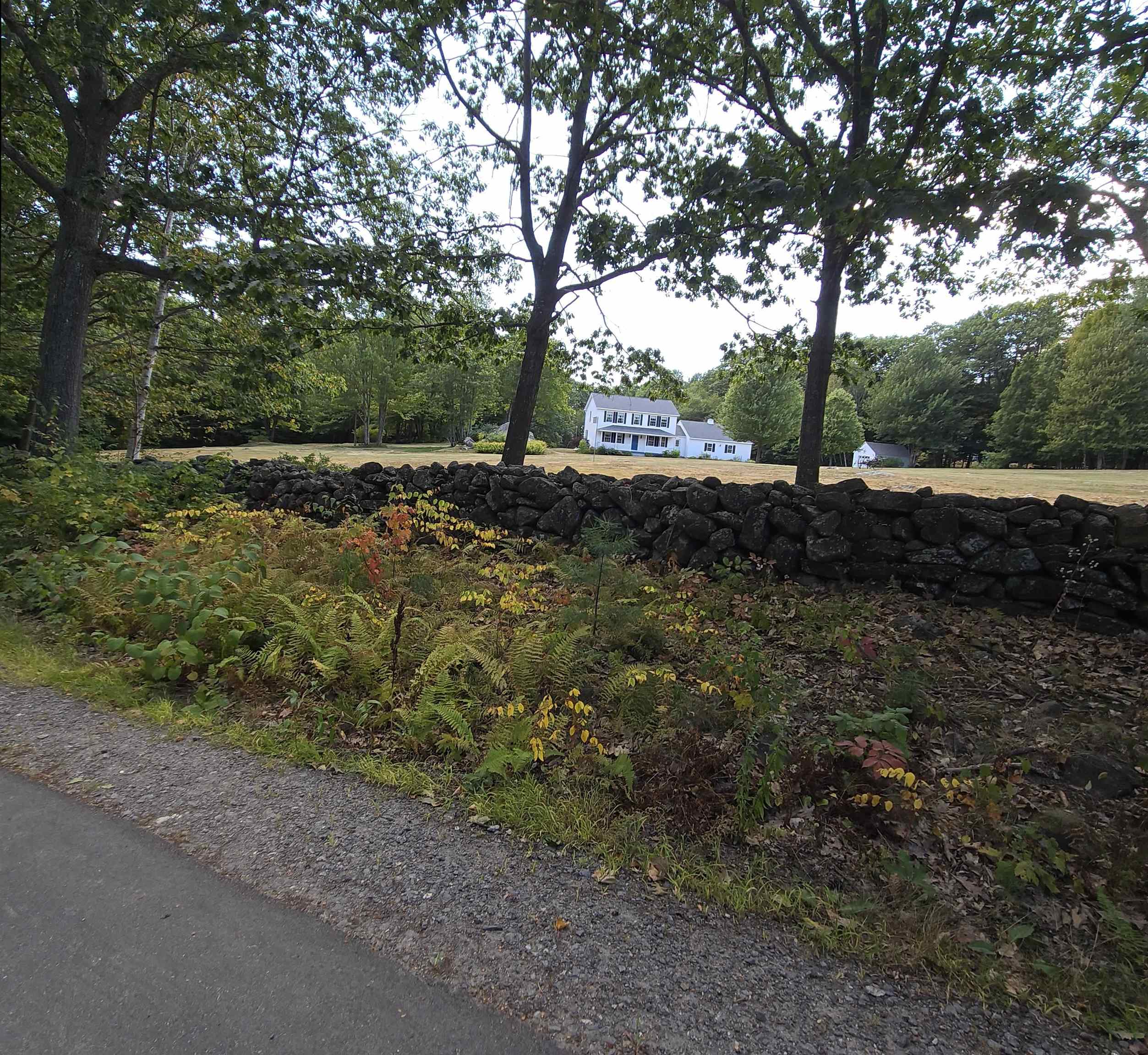 MLS #5059871 image #6