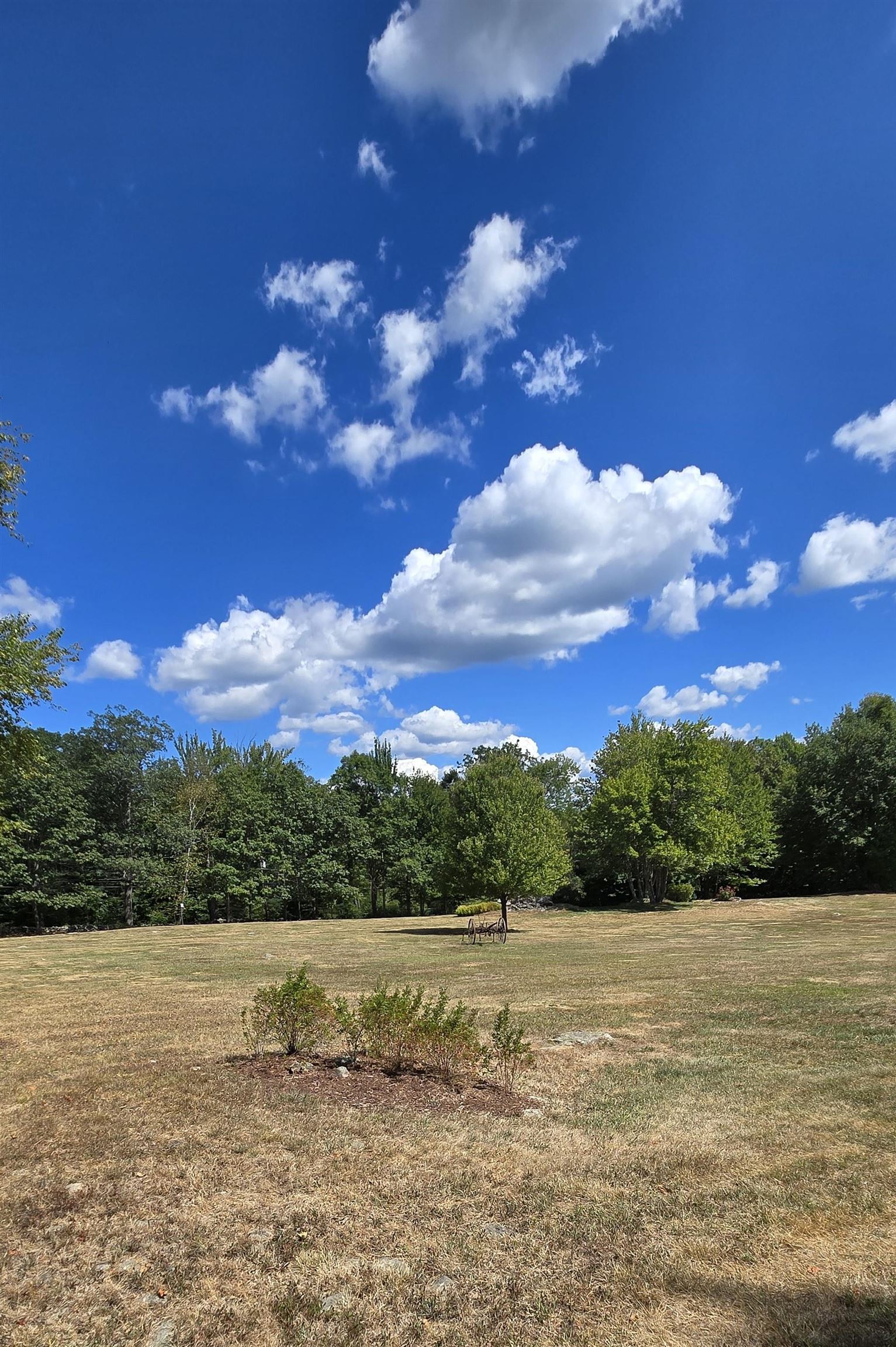 MLS #5059871 image #8