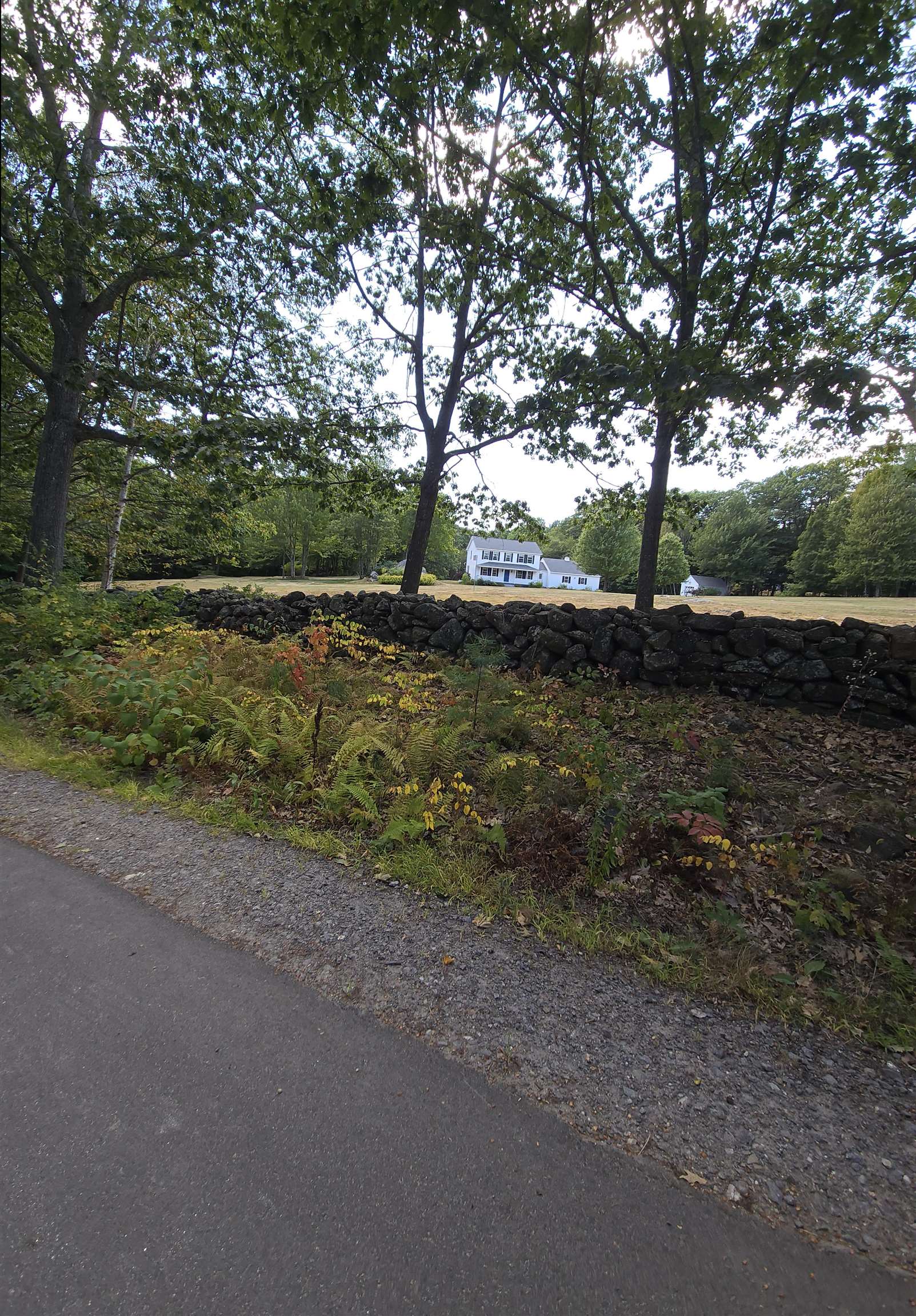 MLS #5059871 image #9