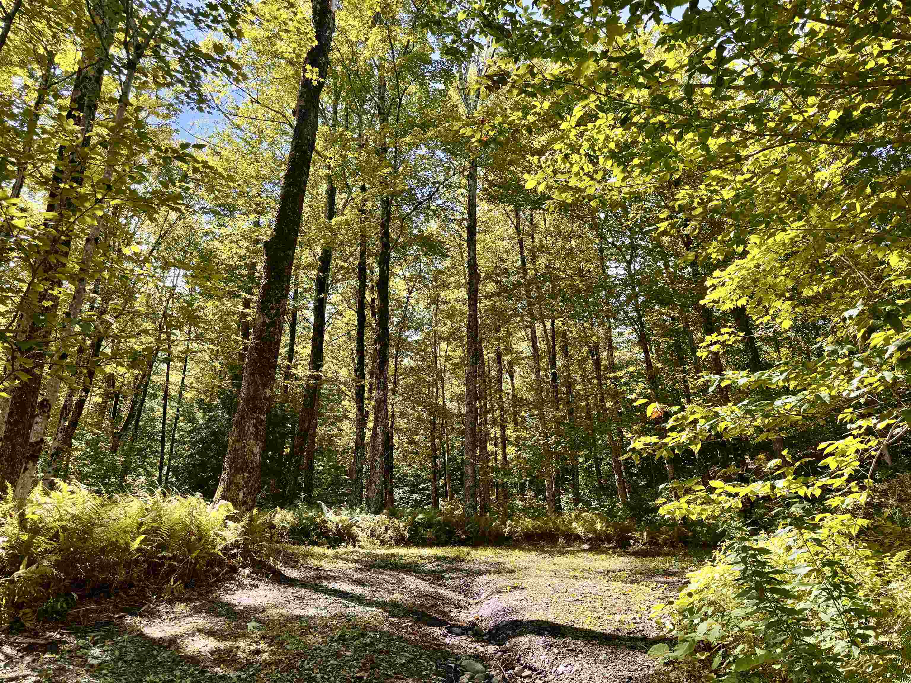 Homes for sale in Jay, VT | 7601 Vermont Rt 105 Rte, Jay, VT 05859 | MLS# 5060025