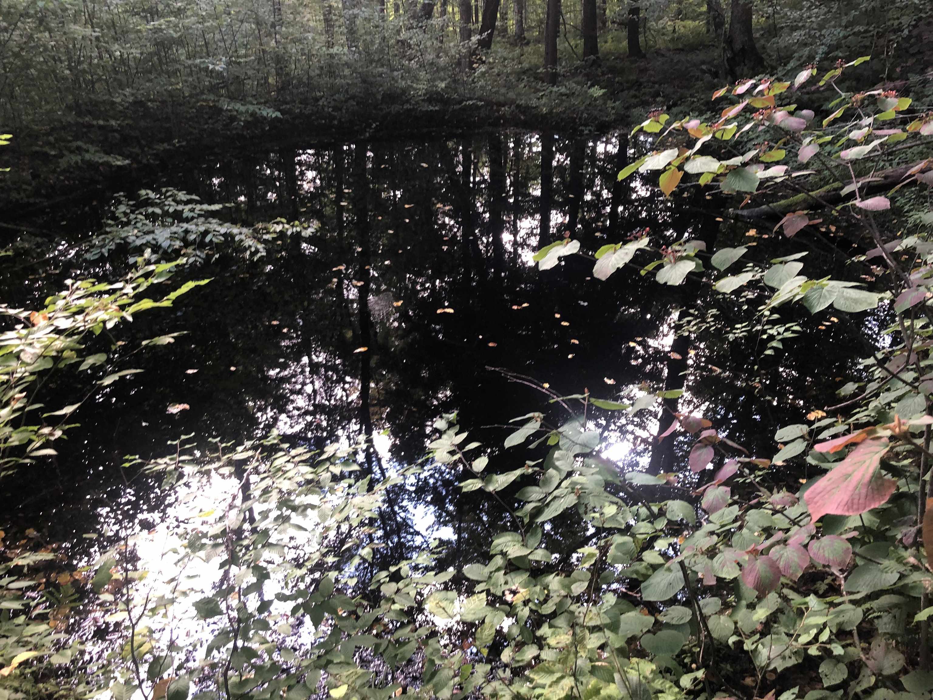 Homes for sale in Jay, VT | 7601 Vermont Rt 105 Rte, Jay, VT 05859 | MLS# 5060025