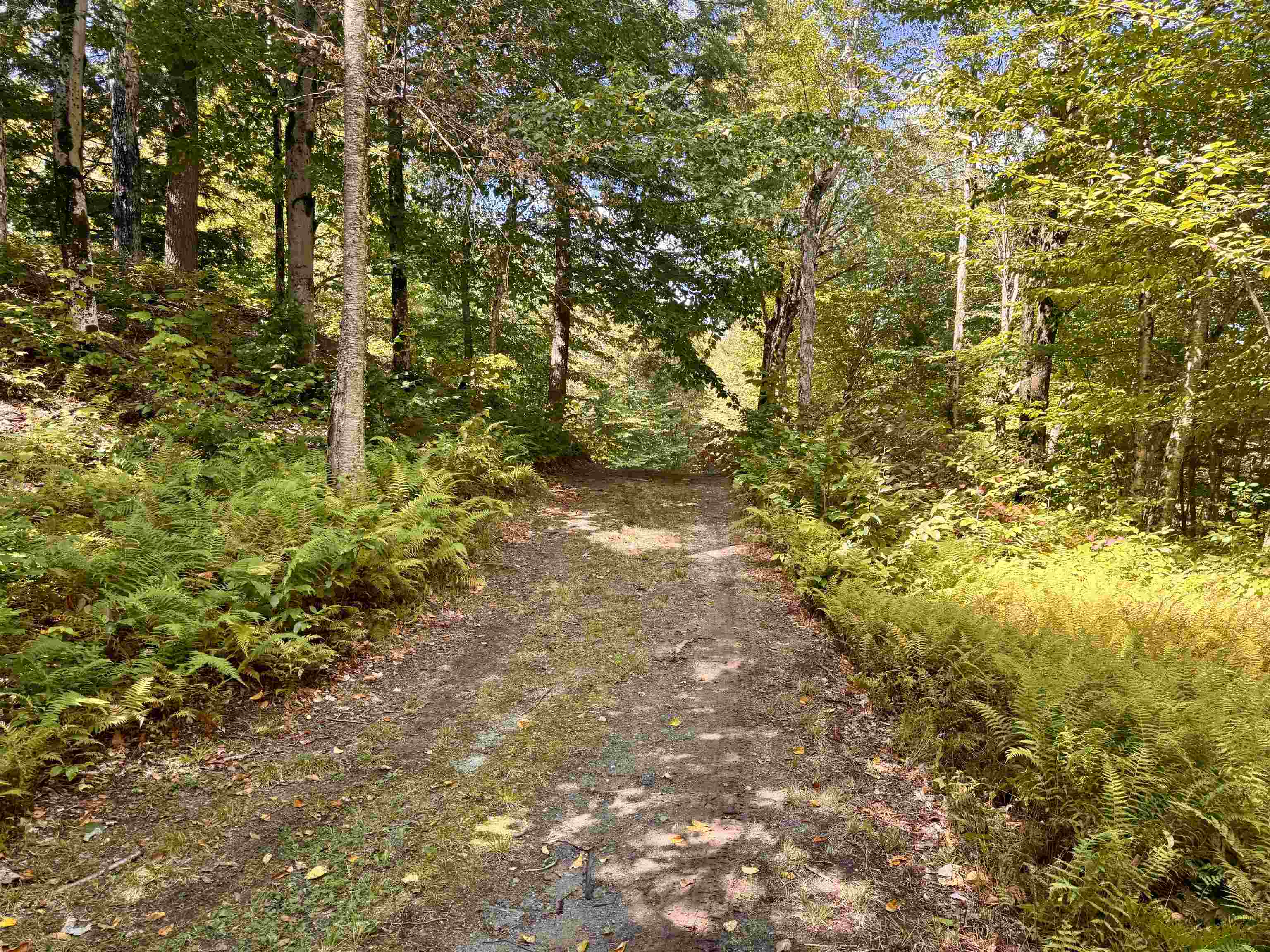 Homes for sale in Jay, VT | 7601 Vermont Rt 105 Rte, Jay, VT 05859 | MLS# 5060025