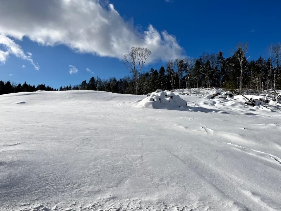Homes for sale in Weston, VT | 00 Parker Ln, Weston, VT 05161 | MLS# 5060075