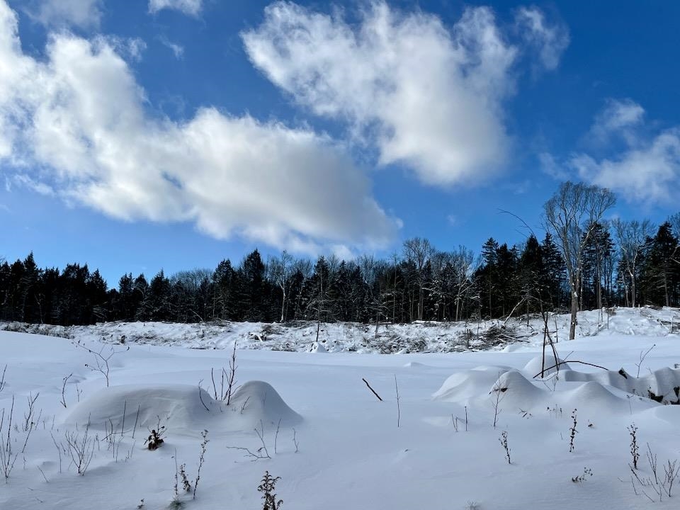 Homes for sale in Weston, VT | 00 Parker Ln, Weston, VT 05161 | MLS# 5060075