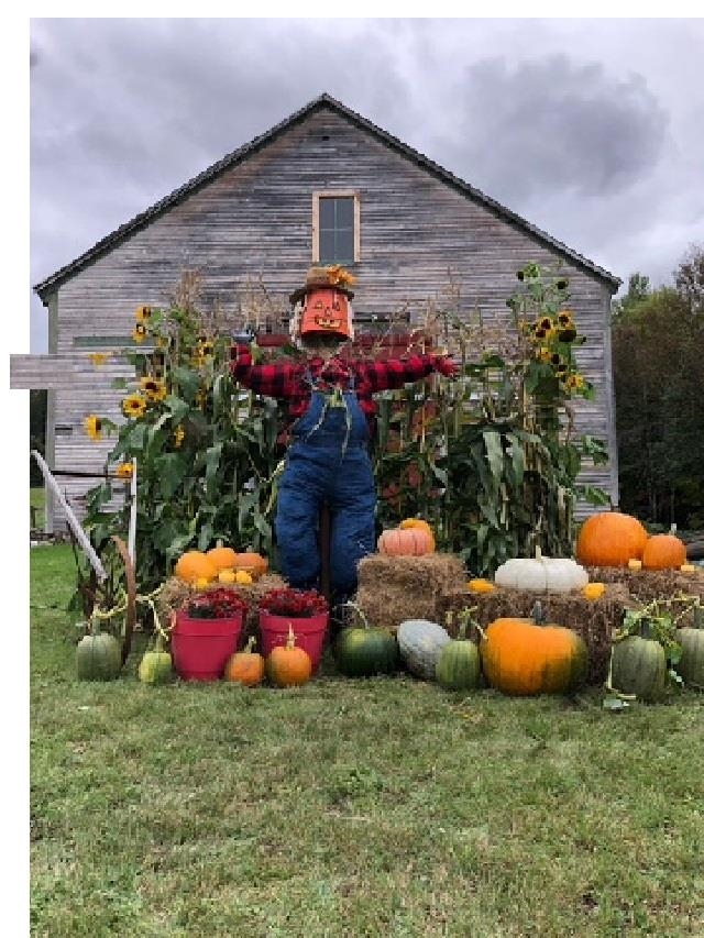 1245 Milan Rd, Milan, NH 03588