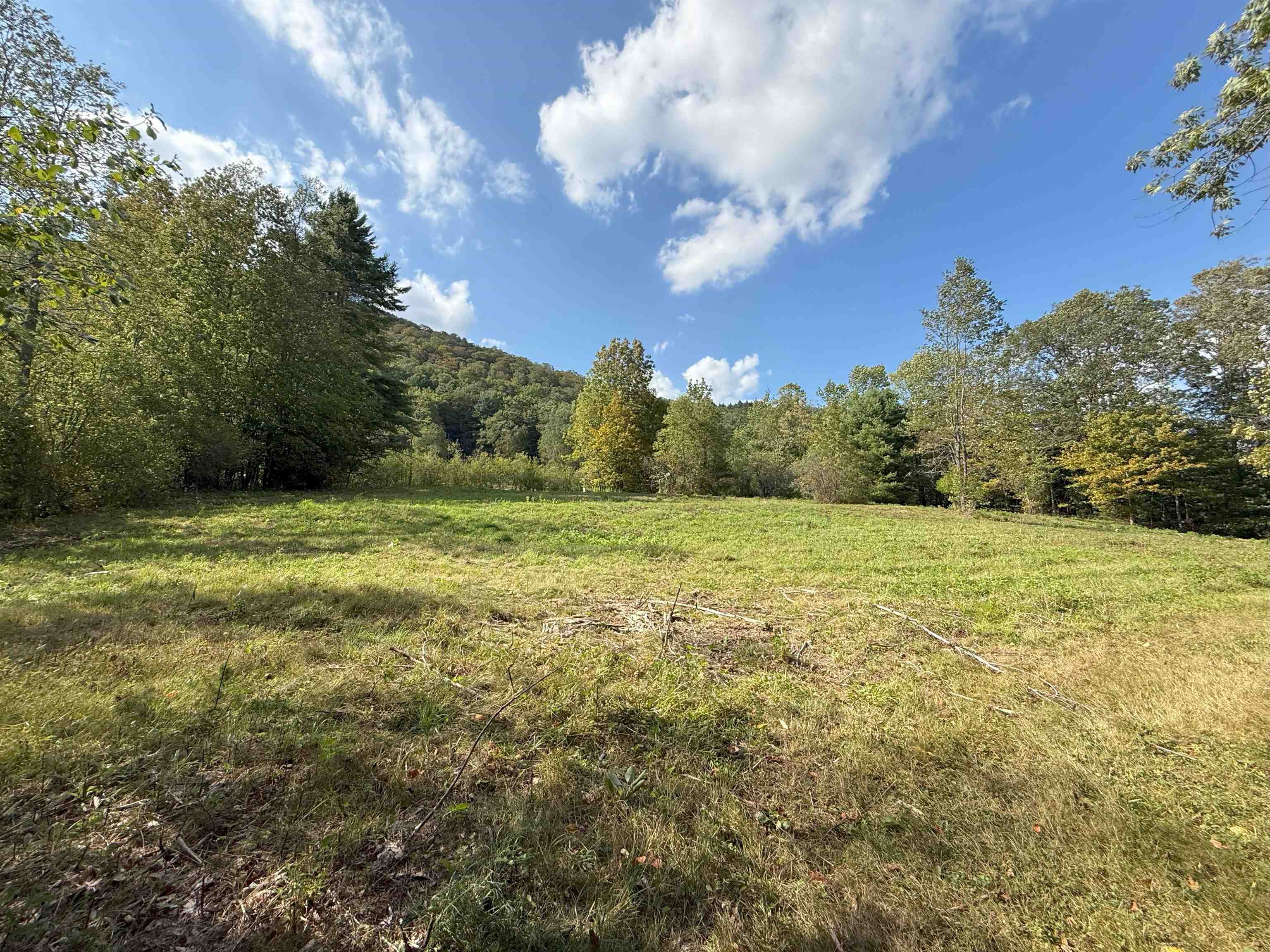 MLS #5060321 image #41