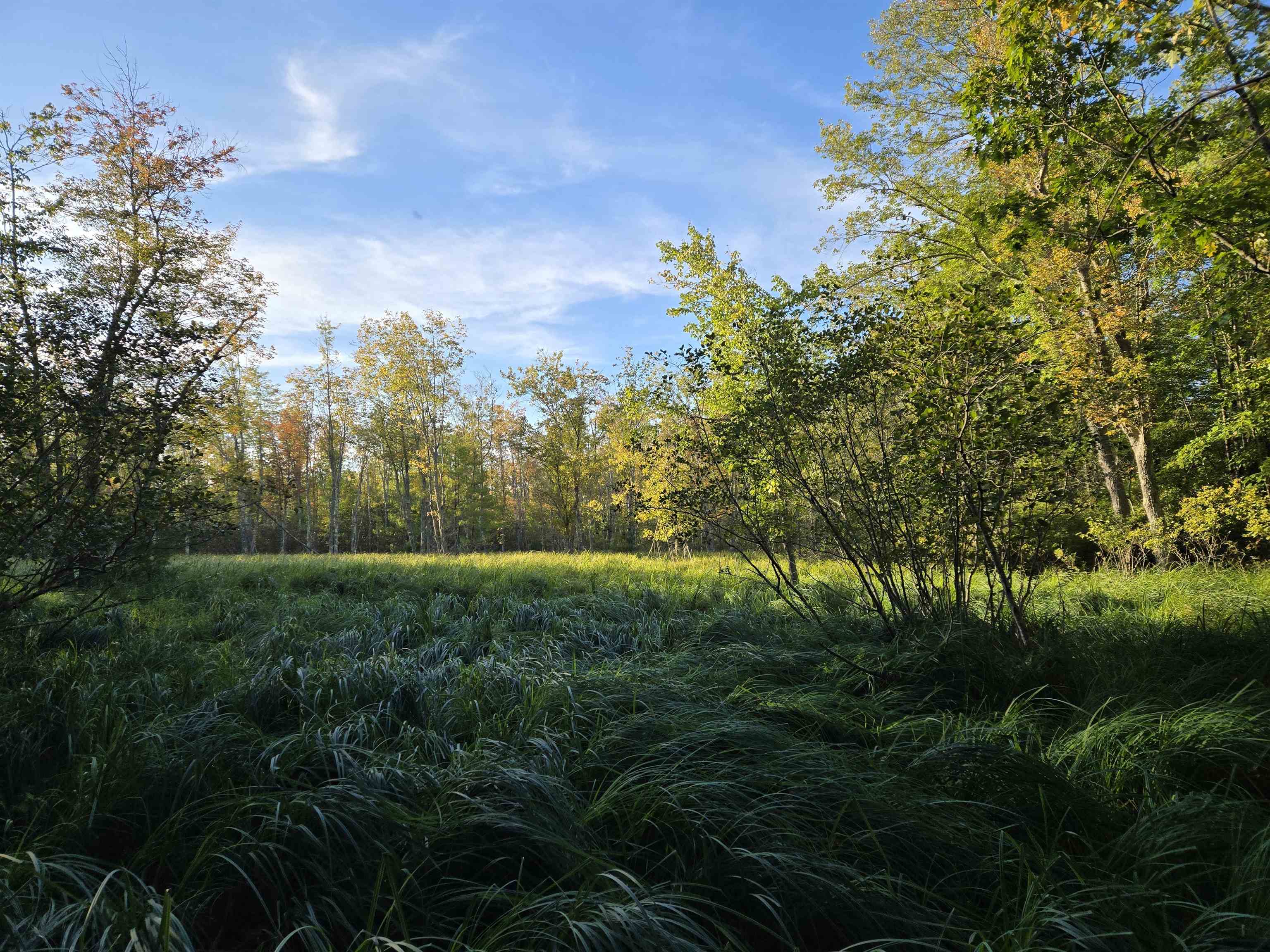   Click for more details  