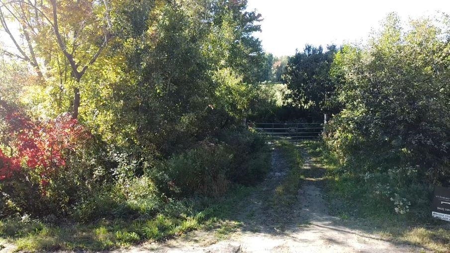   Click for more details  