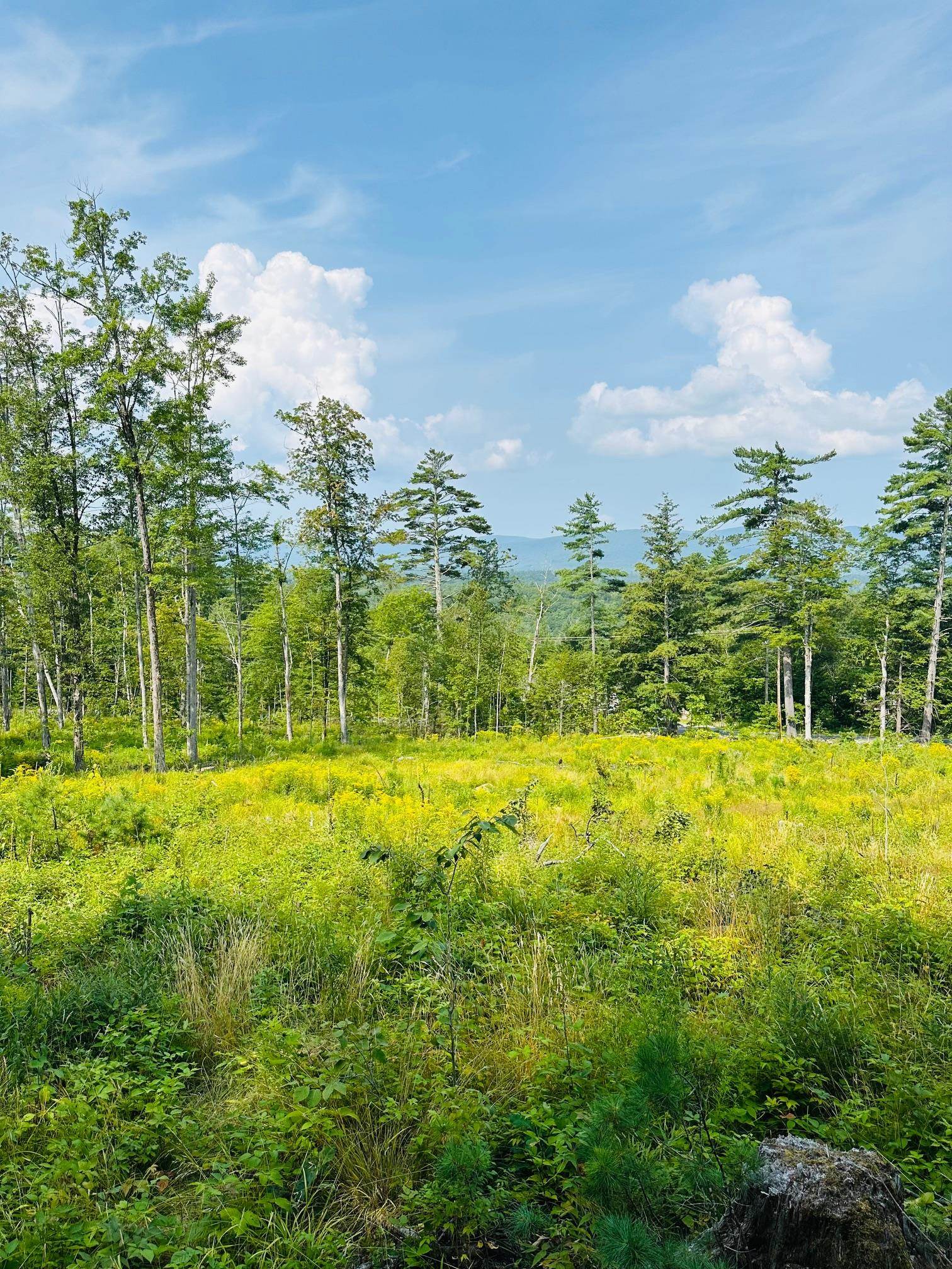 2024 Route 114 , Bradford, NH 03221-0000