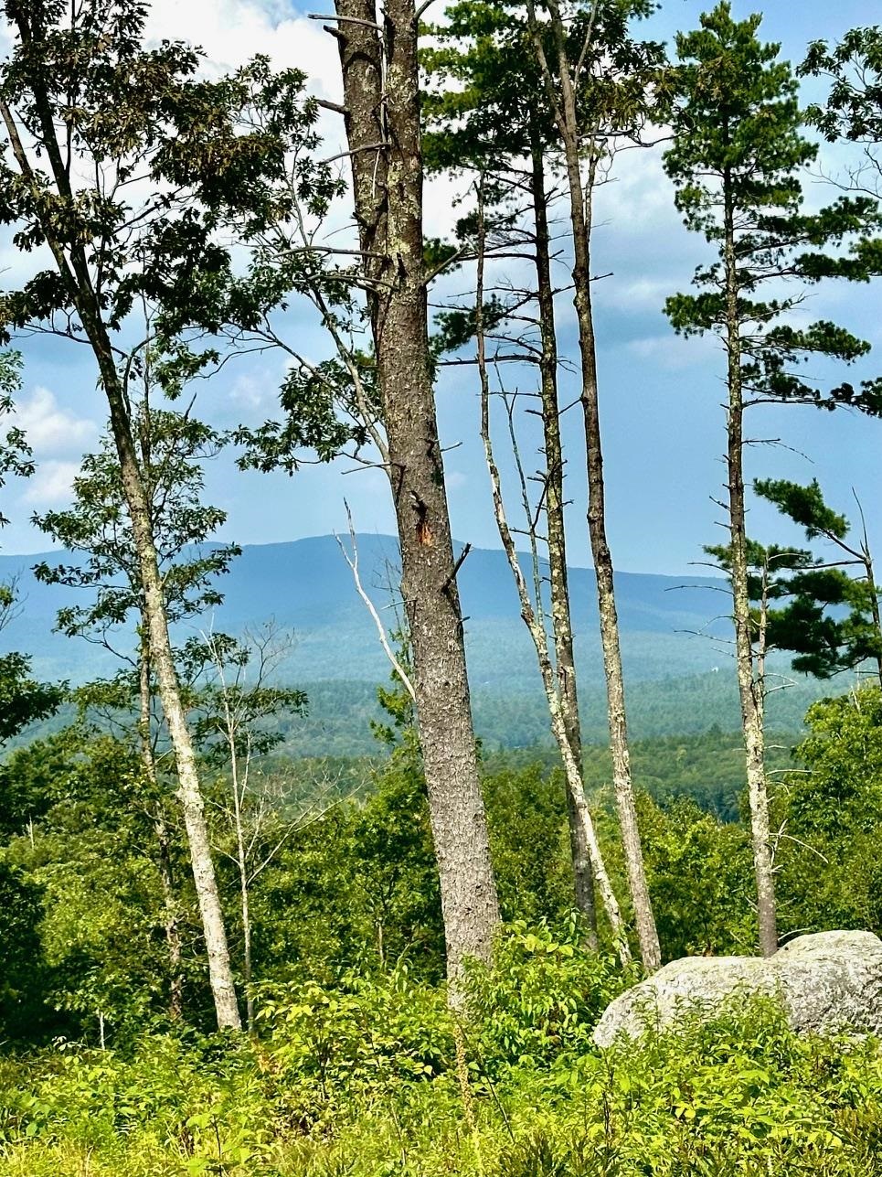 2024 Route 114 , Bradford, NH 03221-0000