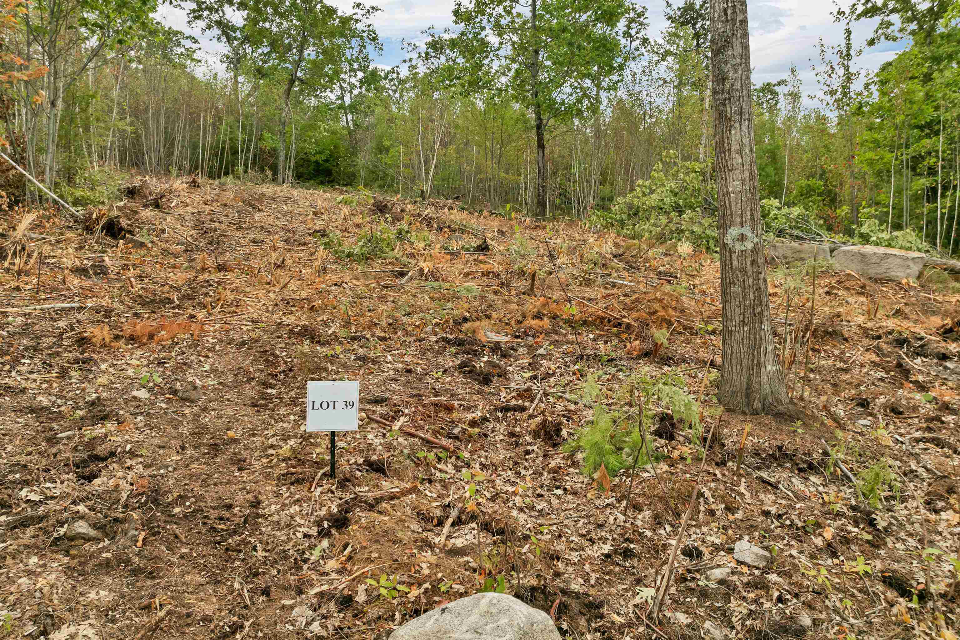 0 Long Stack Ln, Wolfeboro, NH 03894