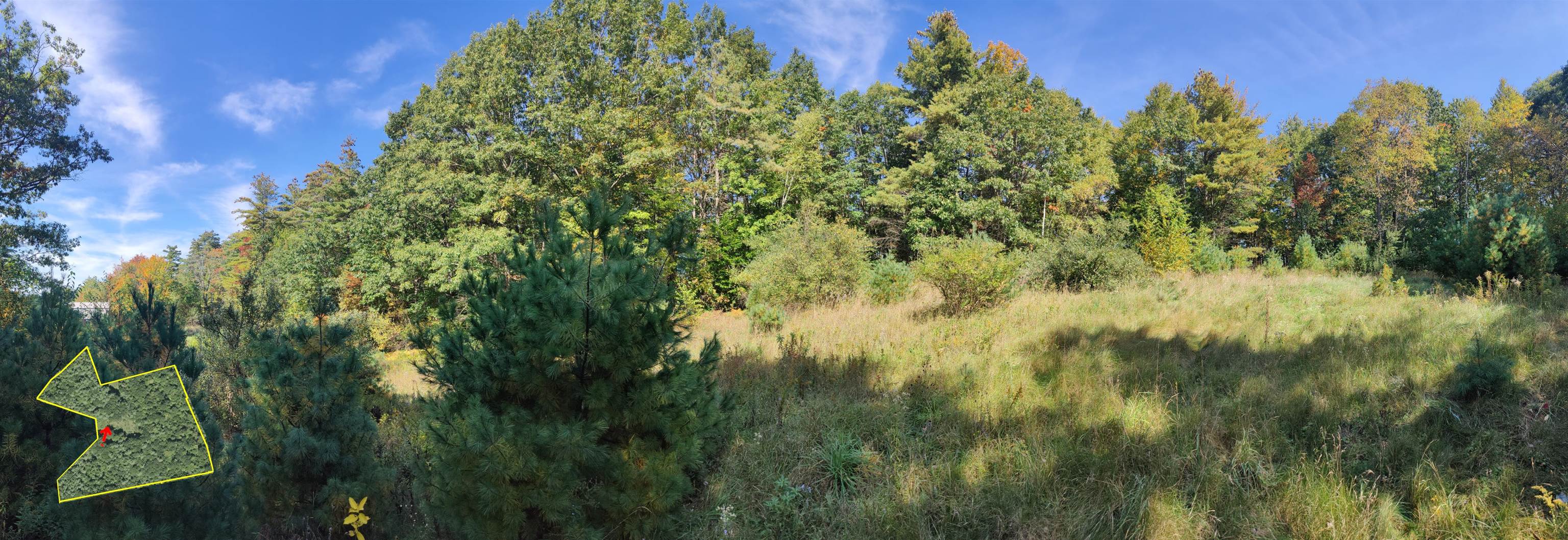 Homes for sale in Greenfield, NH | R5 20 1 266 Francestown Rd, Greenfield, NH 03047 | MLS# 5060650