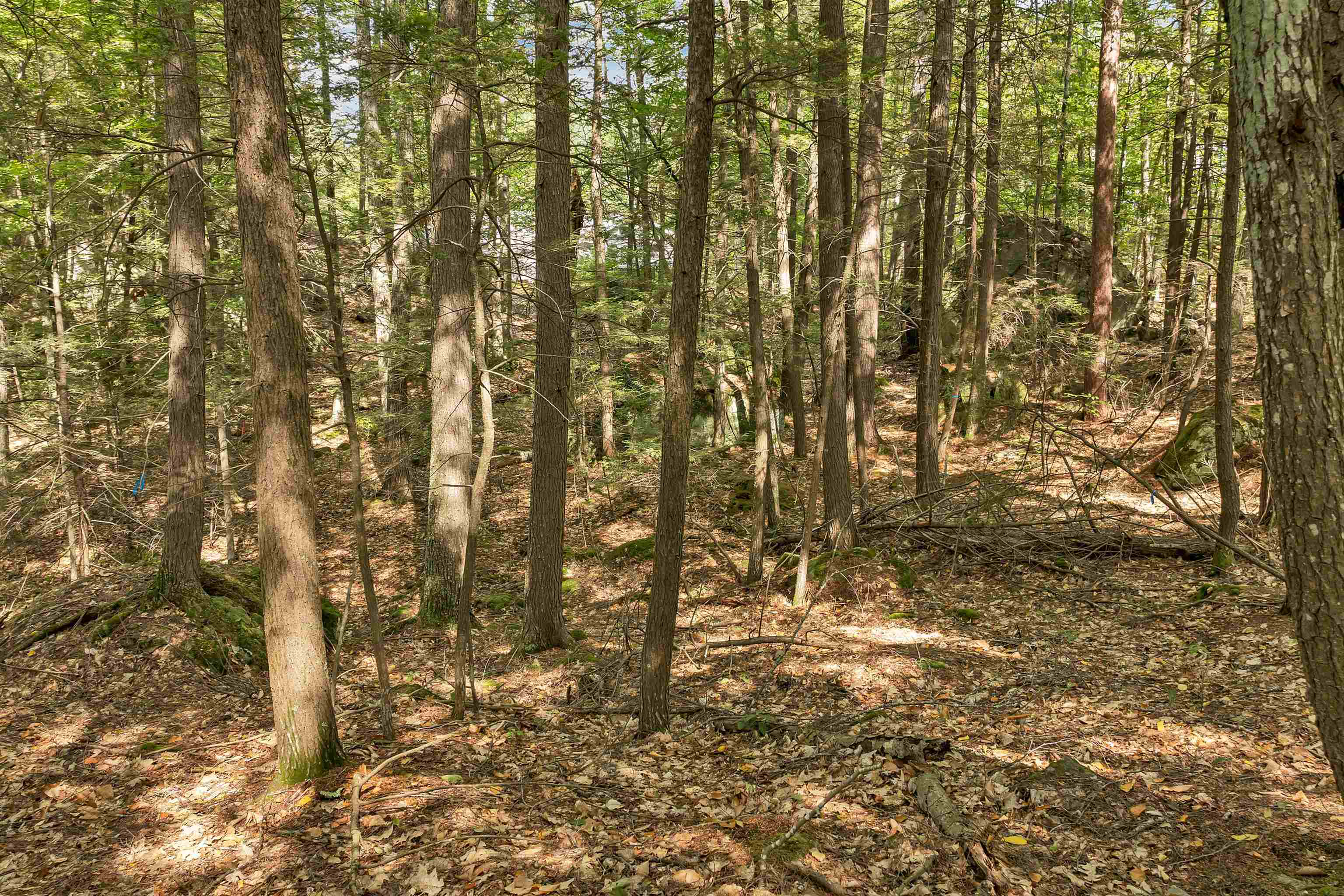 Lot 36 Mauhaut Shores Rd, Alton, NH 03810