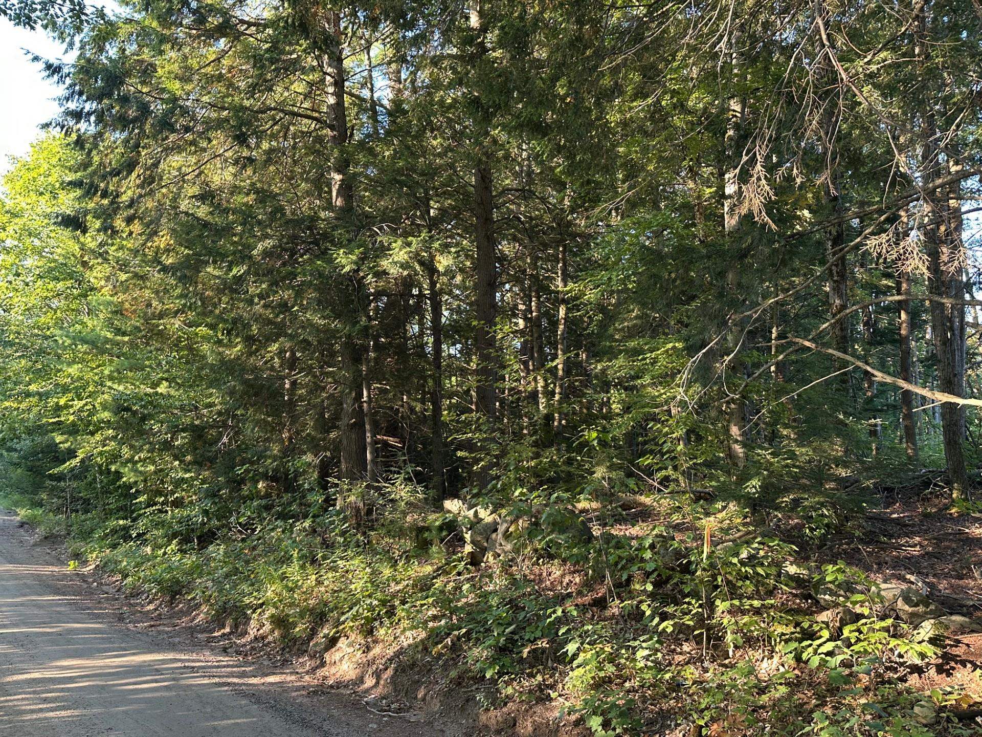 00 Berry Rd, New Durham, NH 03855