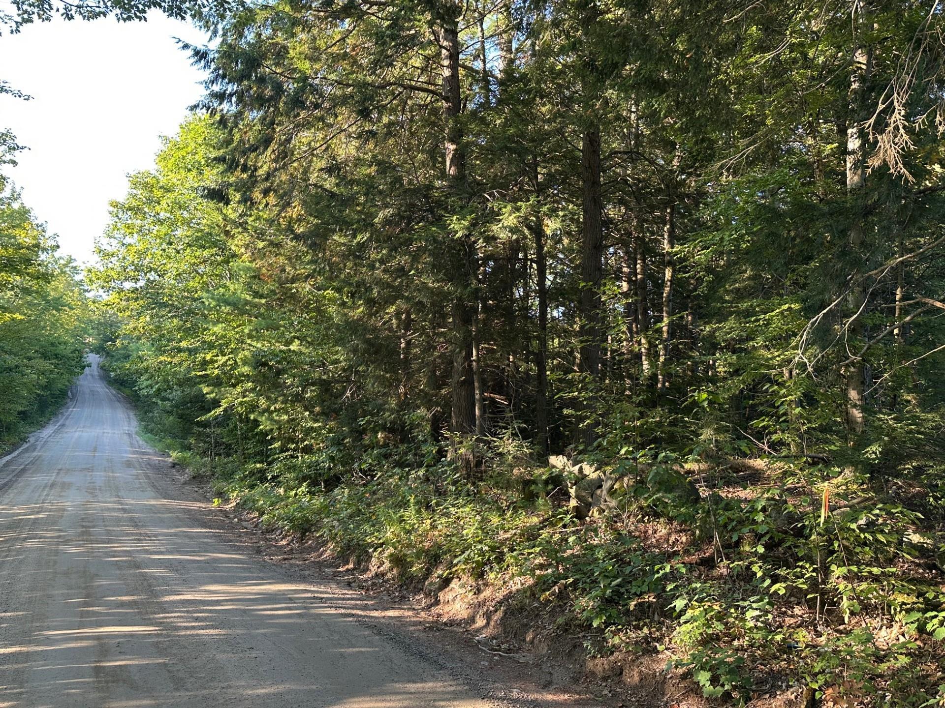 00 Berry Rd, New Durham, NH 03855