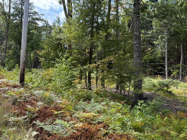 0 Bound Tree Rd, Hopkinton, NH 03229