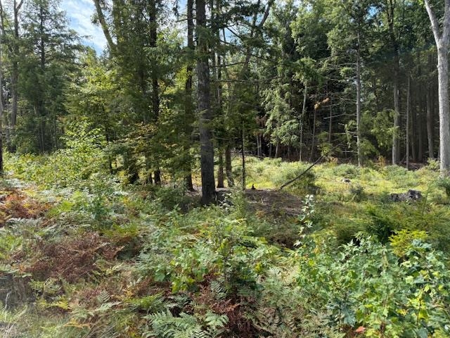 0 Bound Tree Rd, Hopkinton, NH 03229