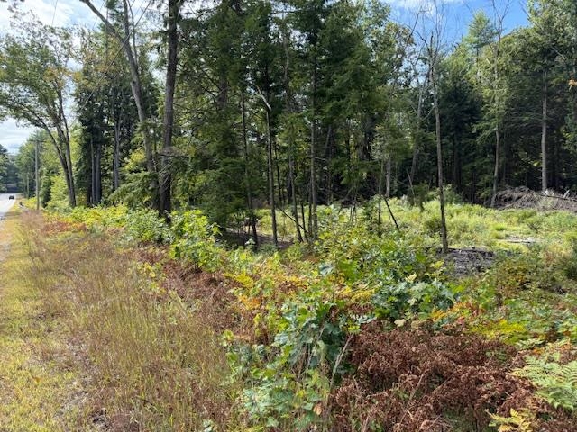 0 Bound Tree Rd, Hopkinton, NH 03229