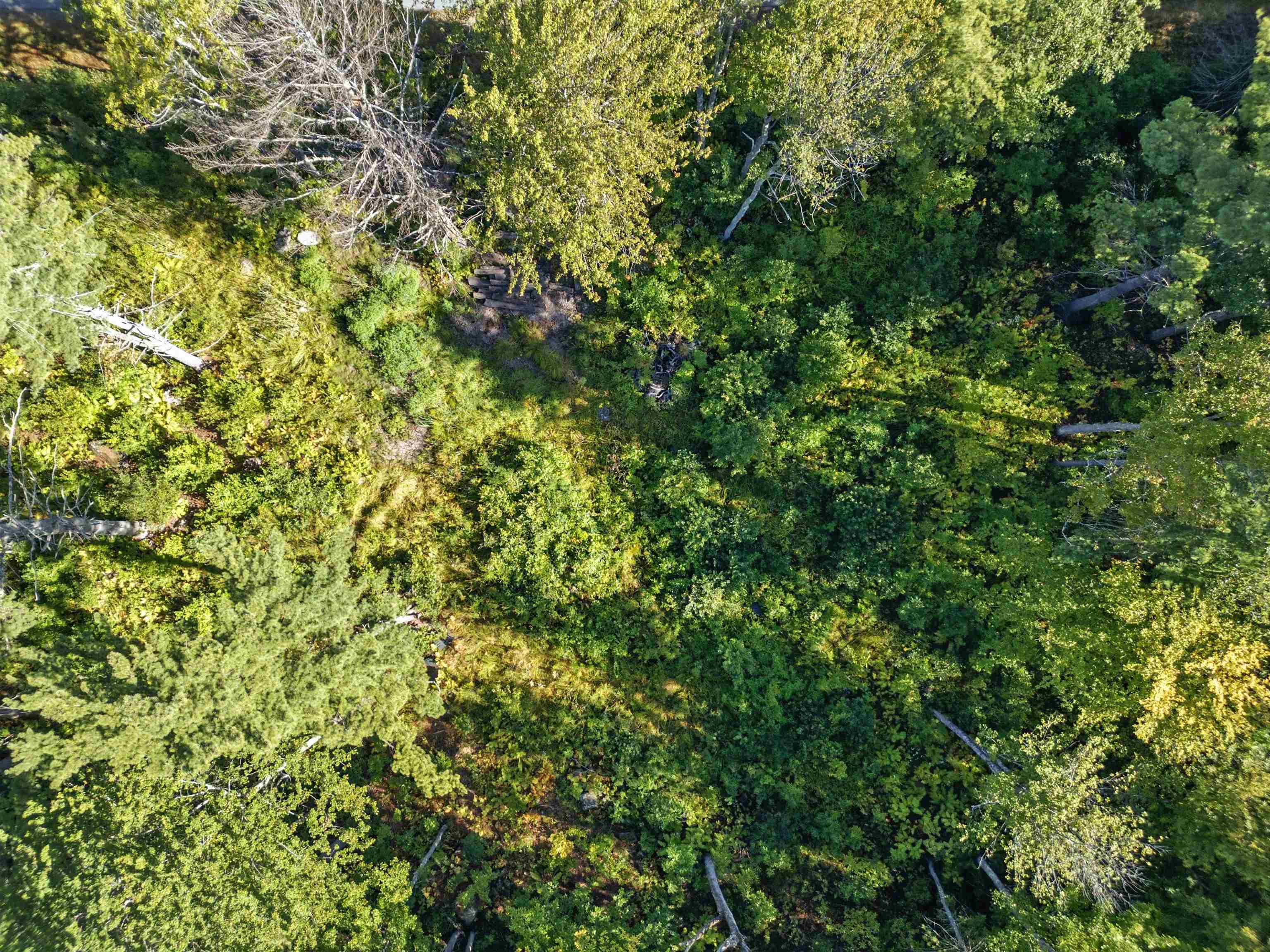 MLS #5060708 image #14