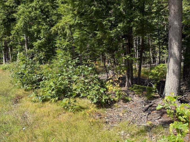 0 Pine St, Hopkinton, NH 03229