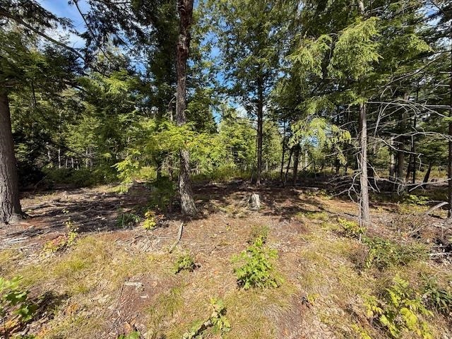 0 Pine St, Hopkinton, NH 03229