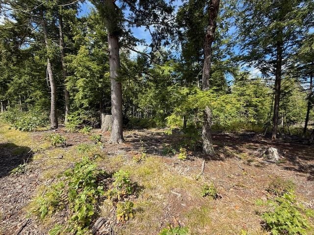 0 Pine St, Hopkinton, NH 03229