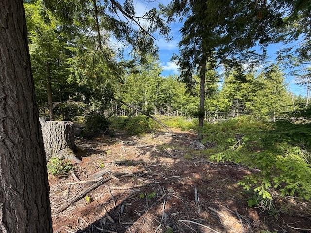 0 Pine St, Hopkinton, NH 03229