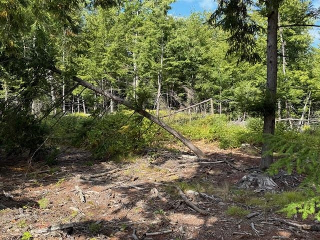 0 Pine St, Hopkinton, NH 03229