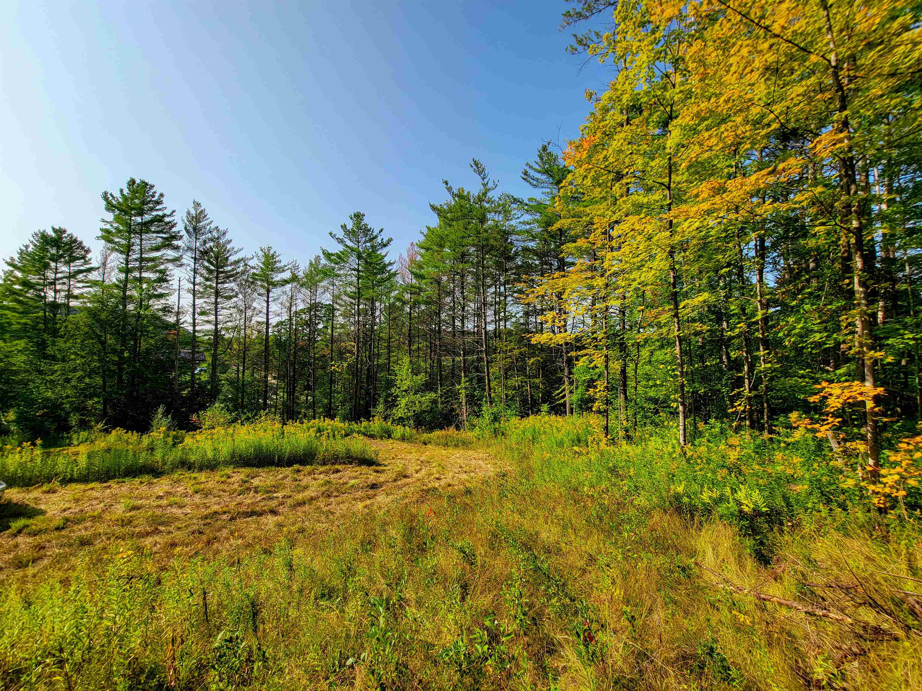 Homes for sale in Starksboro, VT | 4440 Big Hollow Rd, Starksboro, VT 05487 | MLS# 5060940