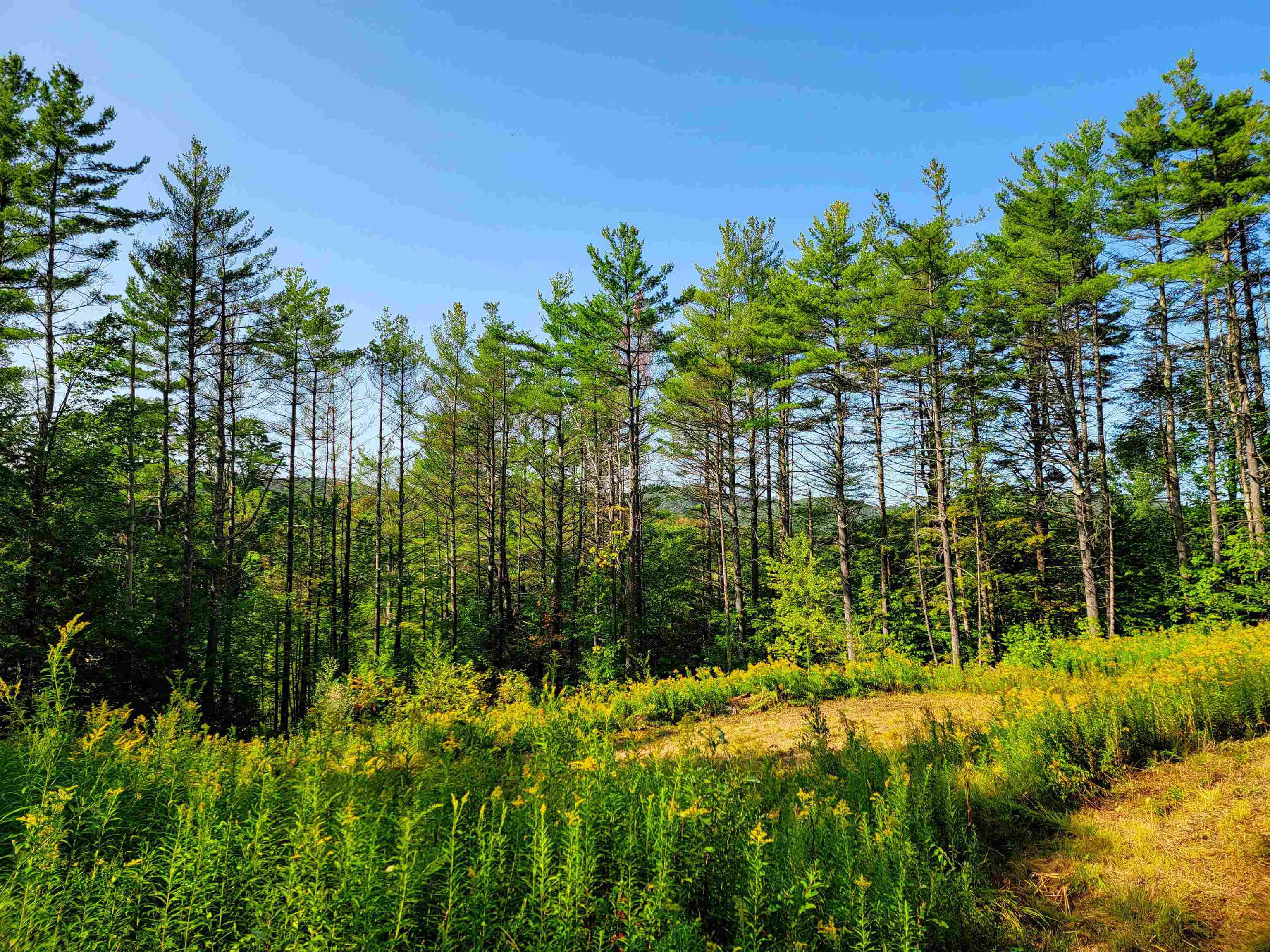 Homes for sale in Starksboro, VT | 4440 Big Hollow Rd, Starksboro, VT 05487 | MLS# 5060940