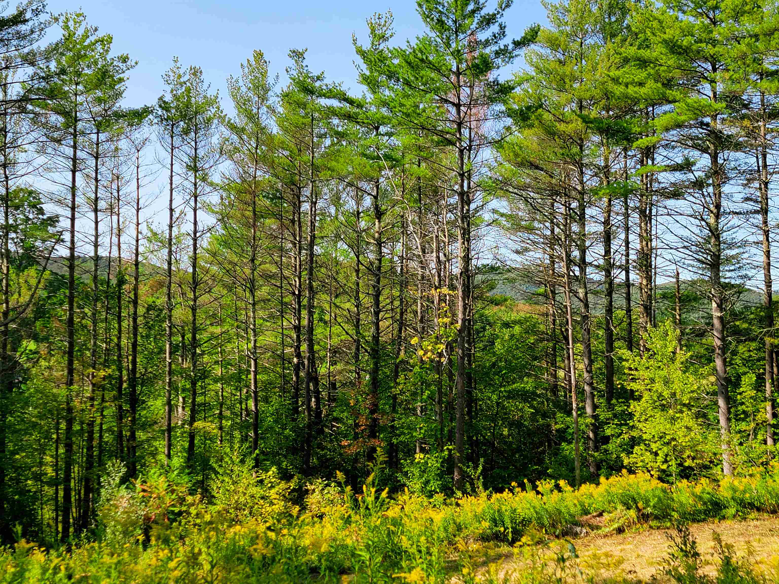 Homes for sale in Starksboro, VT | 4440 Big Hollow Rd, Starksboro, VT 05487 | MLS# 5060940