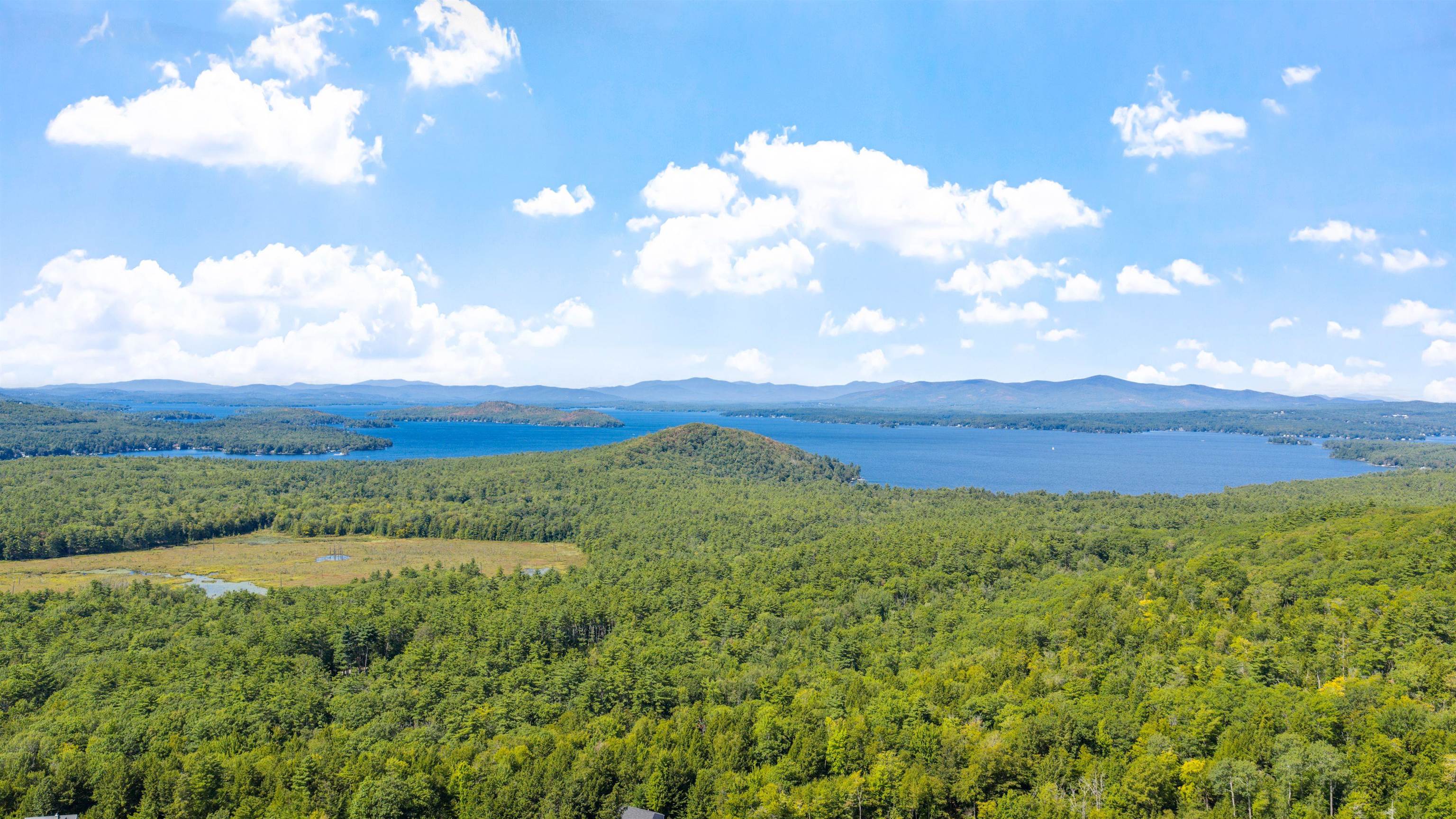 MLS #5060960 image #6