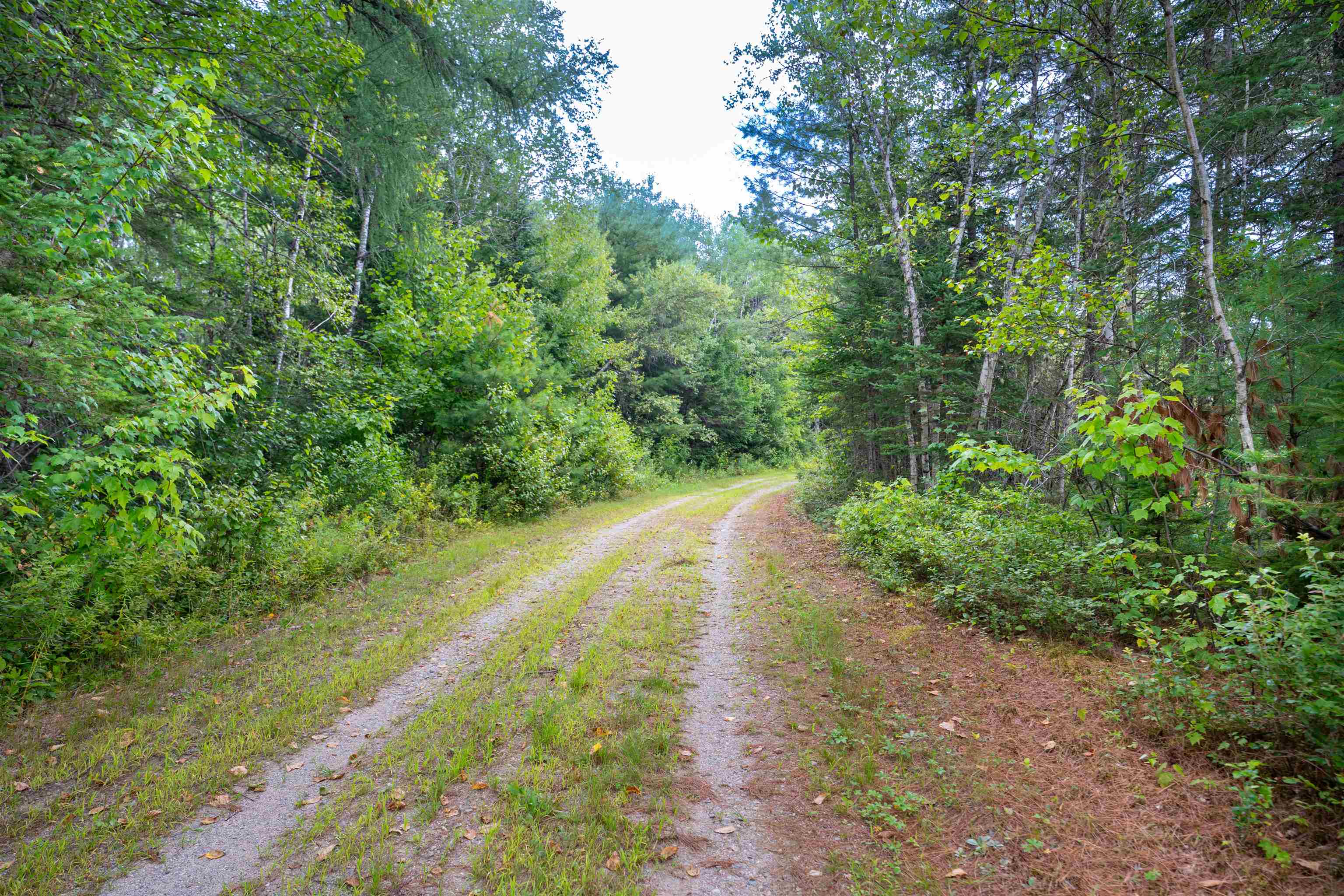 00 Boise Cascade Rd, Dummer, NH 03588