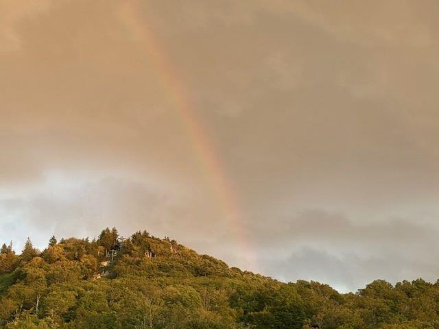 Homes for sale in Killington, VT | 71 Alpine Dr #D-408, Killington, VT 05751 | MLS# 5061027