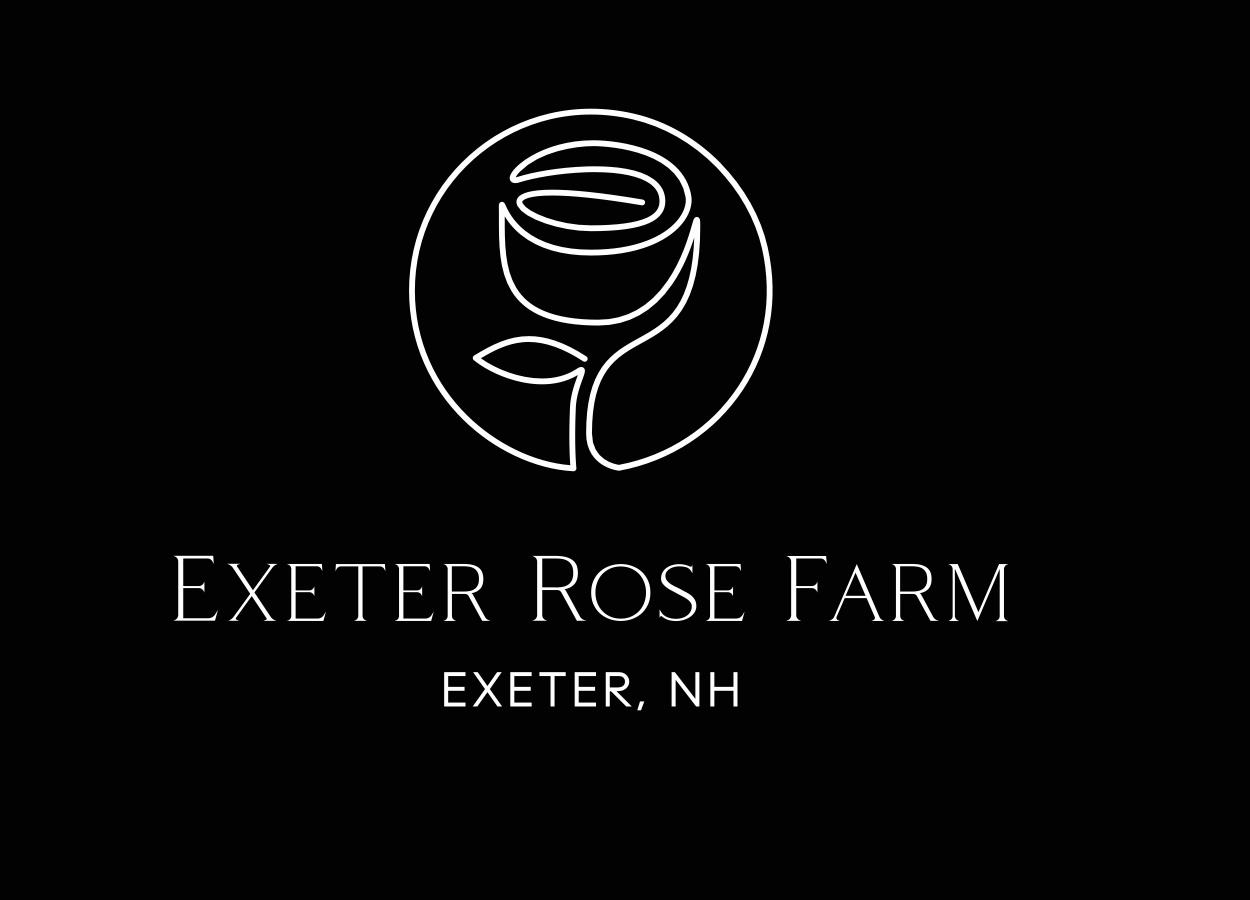 Homes for sale in Exeter, NH | 24 Wadleigh St #4, Exeter, NH 03833 | MLS# 5061040