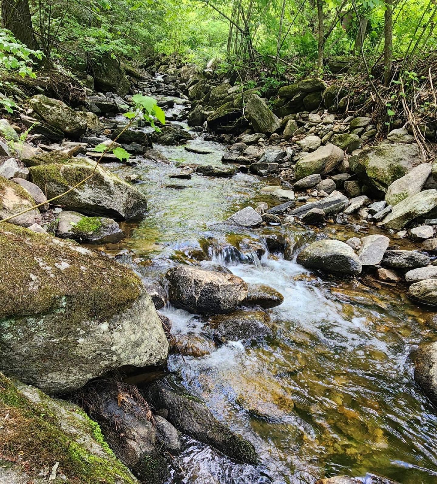 WEATHERSFIELD VT LAND  for sale $$255,000 | 86.4 Acres  | Price Per Acre $0