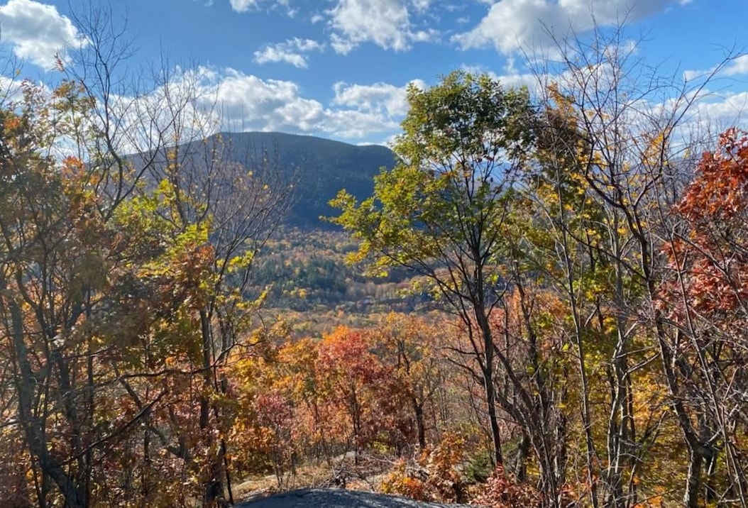 WALLINGFORD VT LAND  for sale $$69,000 | 5.7 Acres  | Price Per Acre $0