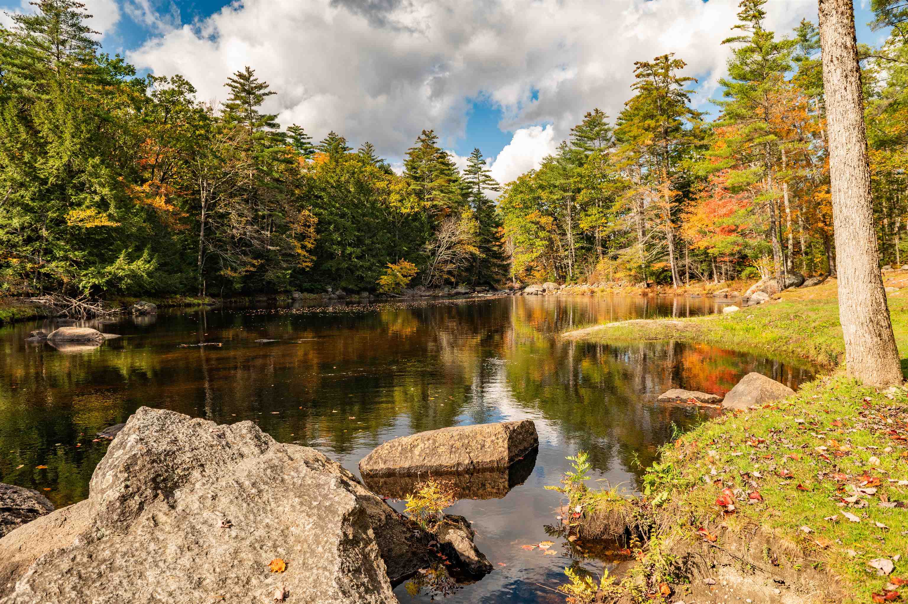 MLS #5061304 image #3