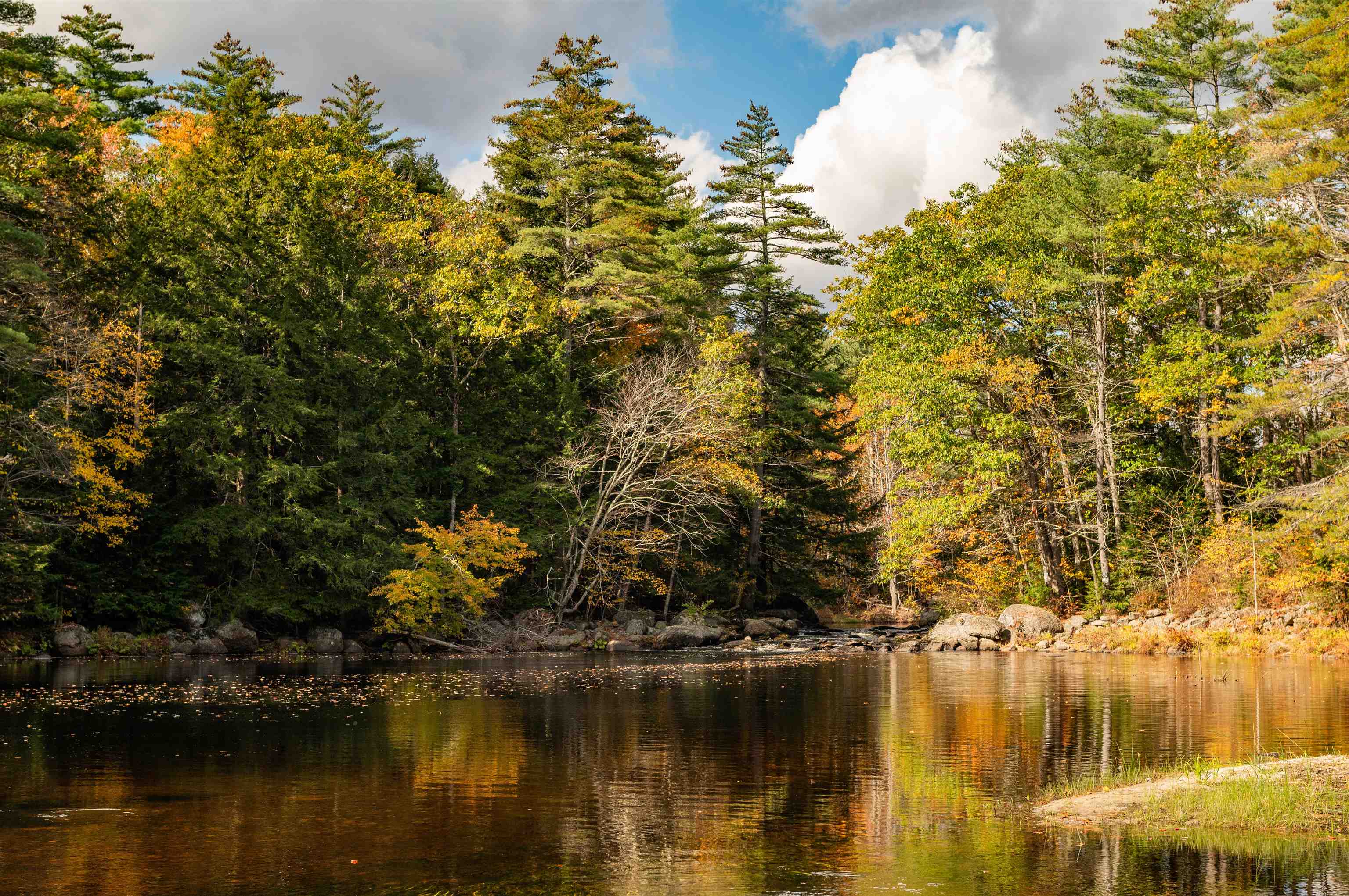 MLS #5061304 image #6