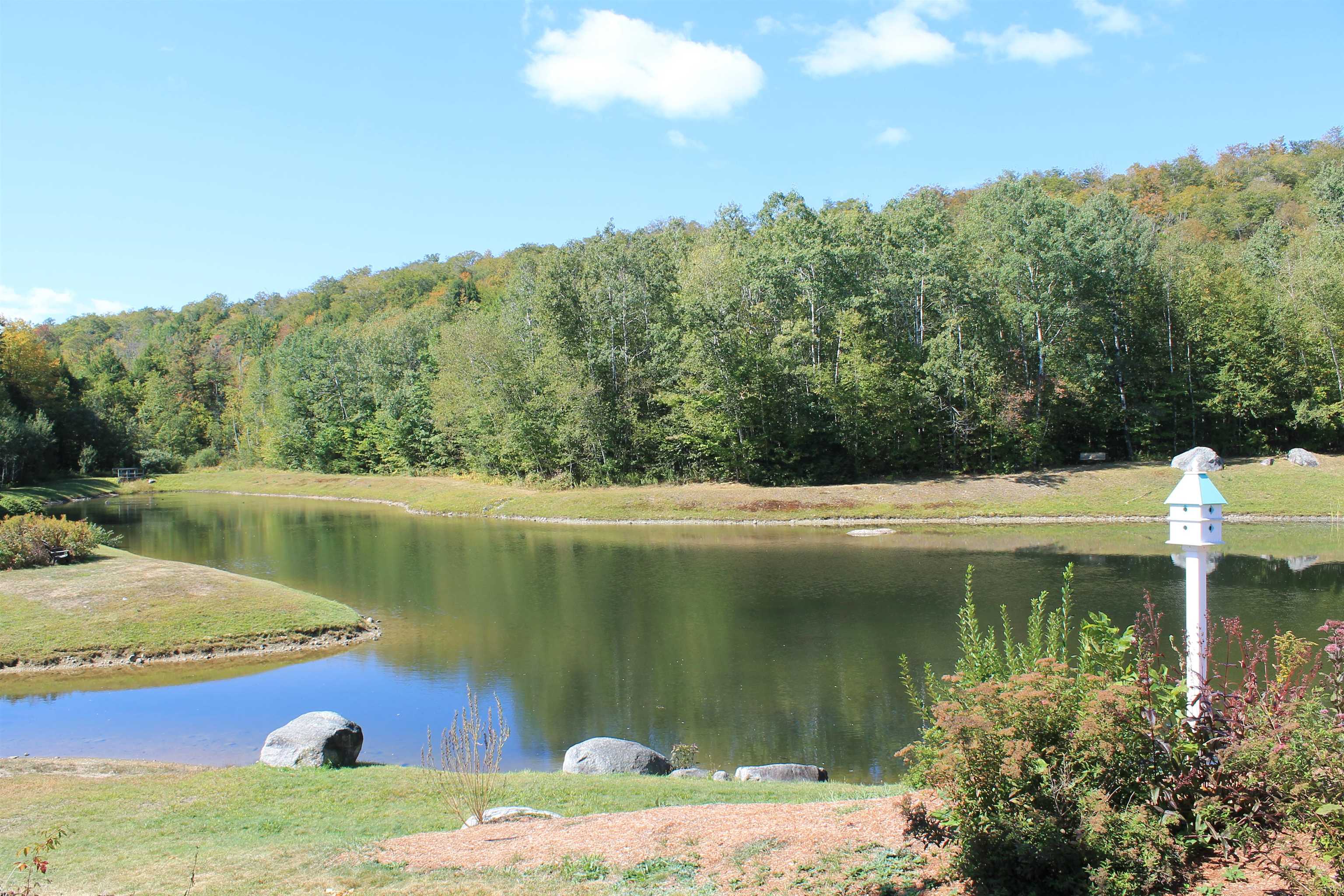 MLS #5061391 image #35