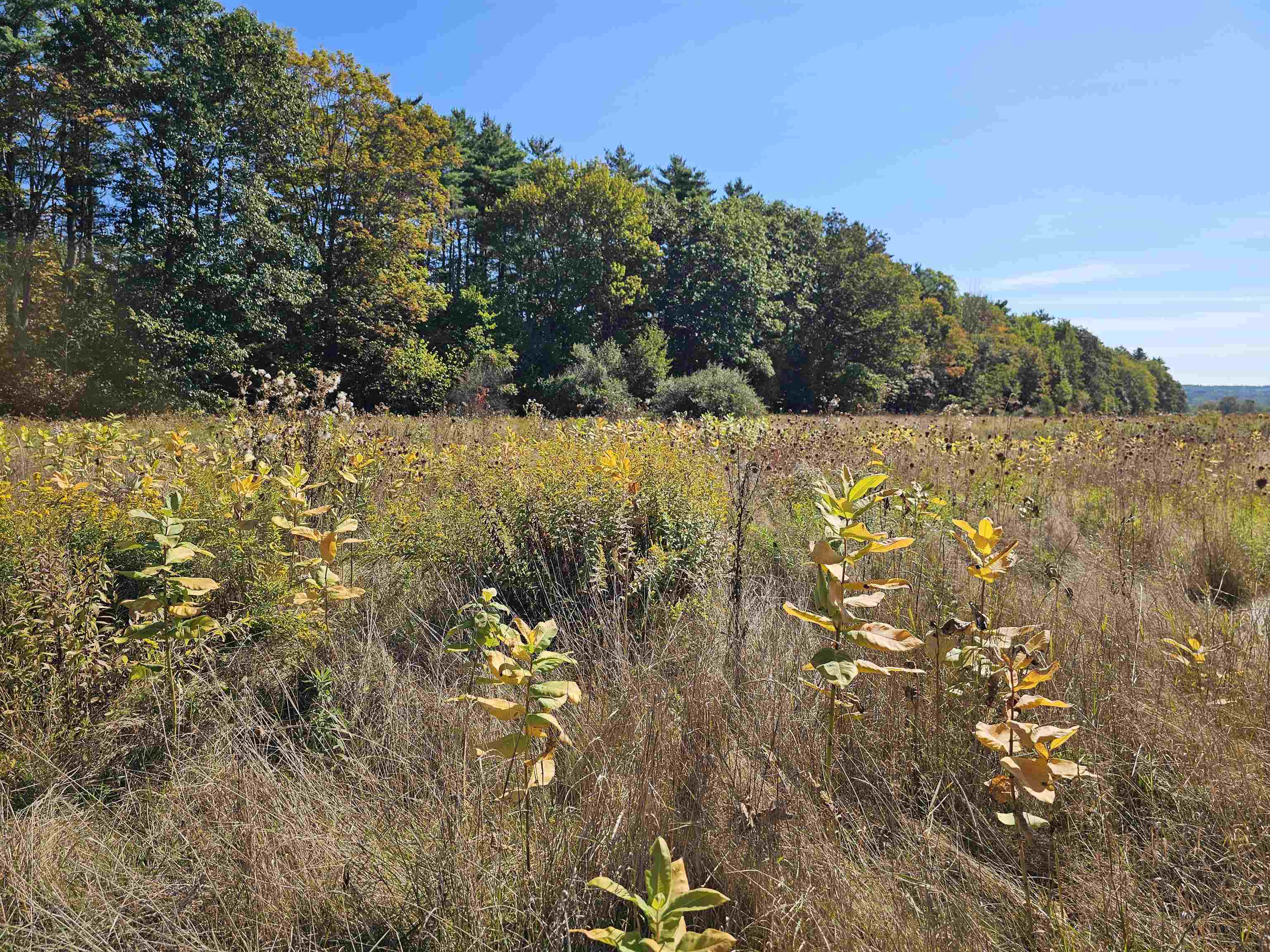 MLS #5061438 image #1