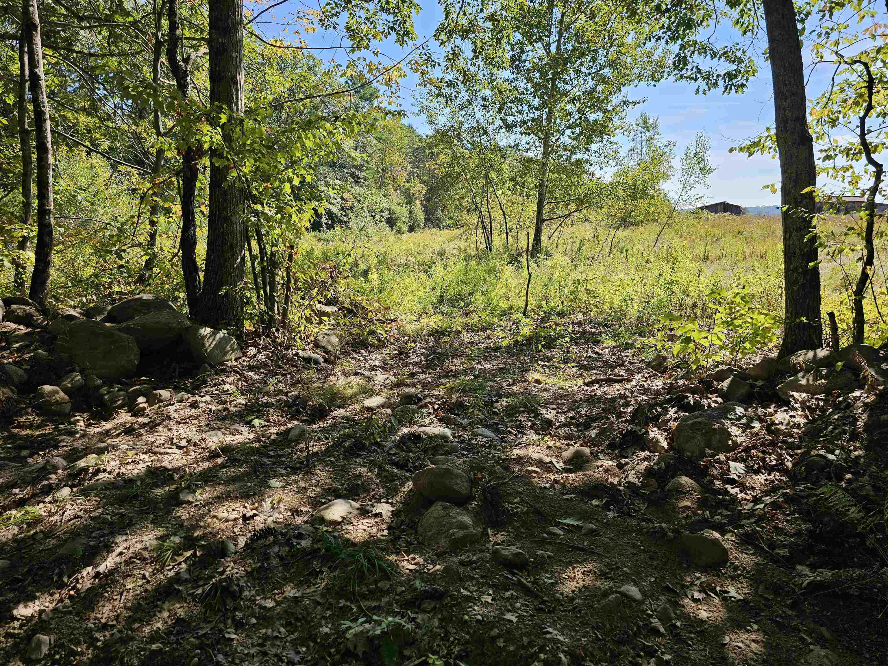 MLS #5061438 image #11